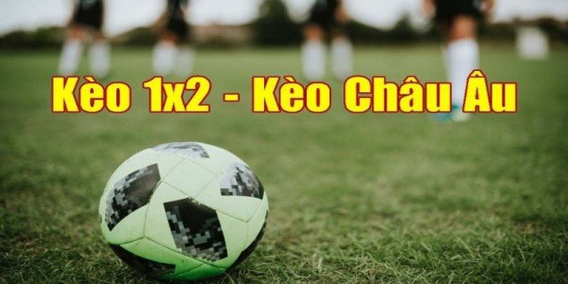 Mẹo thắng kèo châu Âu Win79 đơn giản